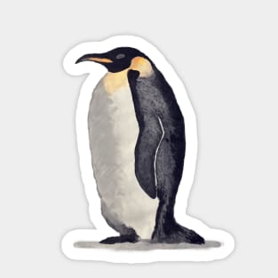 Emperor Penguin Painting Sticker